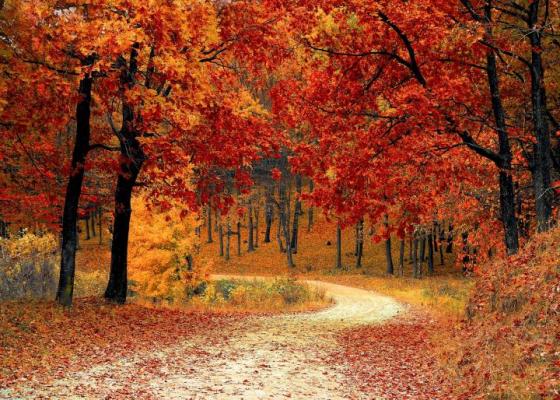 Fall Plumbing Tips: